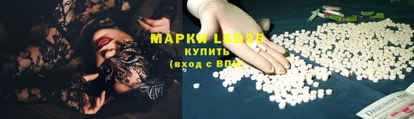 шишки Иннополис