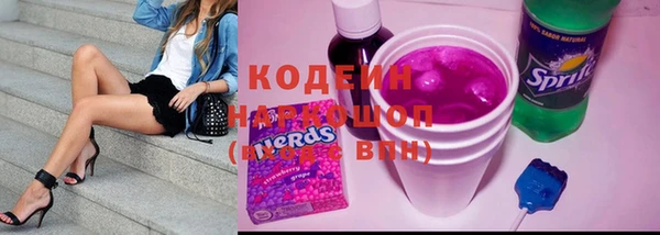 шишки Иннополис
