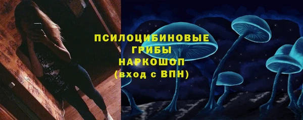 шишки Иннополис