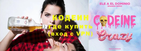 шишки Иннополис