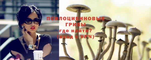шишки Иннополис