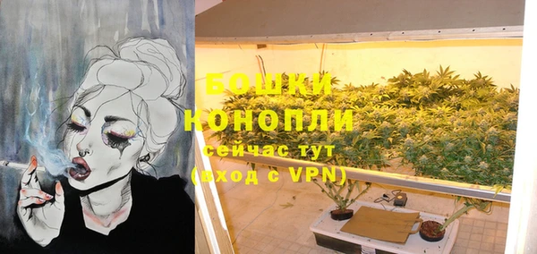 бошки Инсар