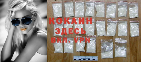 винт Каменка