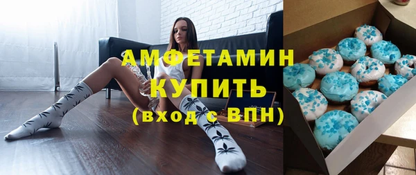 шишки Иннополис